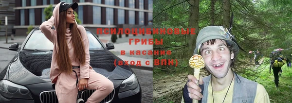 сатива Балабаново